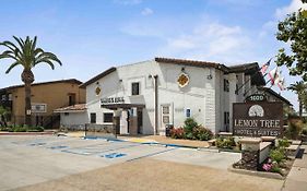 Lemon Tree Hotel And Suites